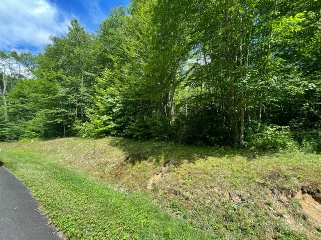 Image number 6 for the current listing