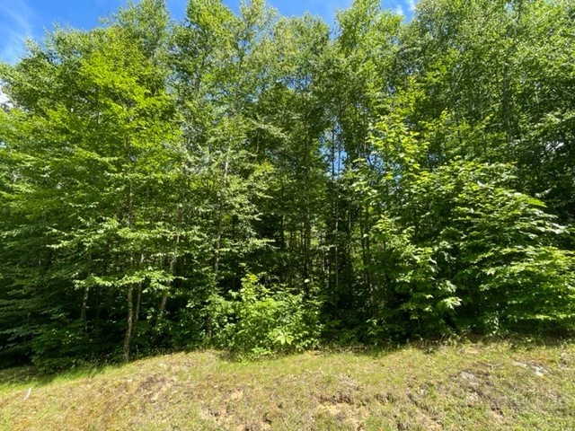 Image number 7 for the current listing