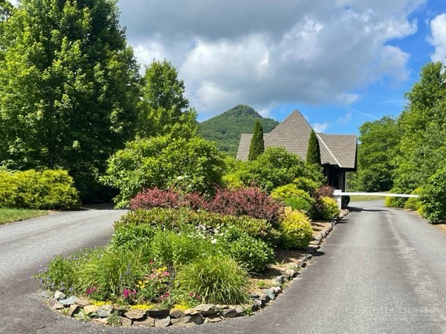 Image number 1 for the current listing