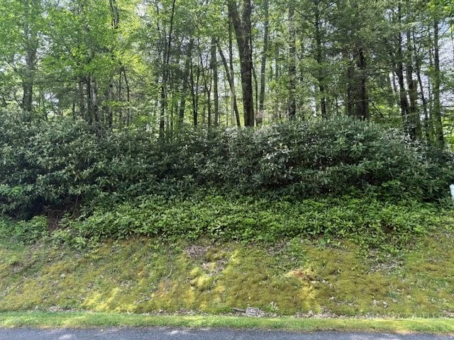 Image number 9 for the current listing