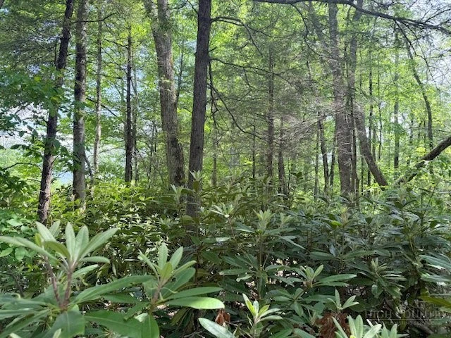 Image number 13 for the current listing