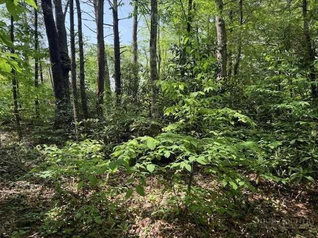 Image number 14 for the current listing