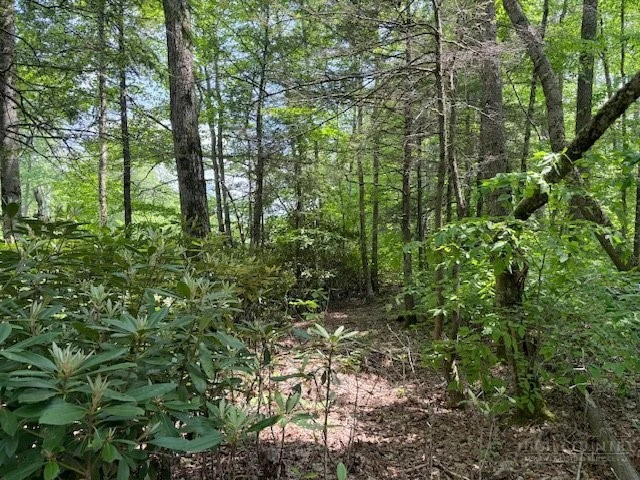 Image number 15 for the current listing