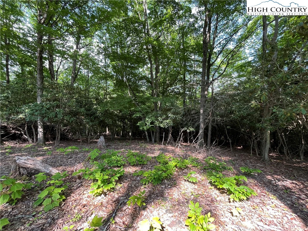 Image number 2 for the current listing