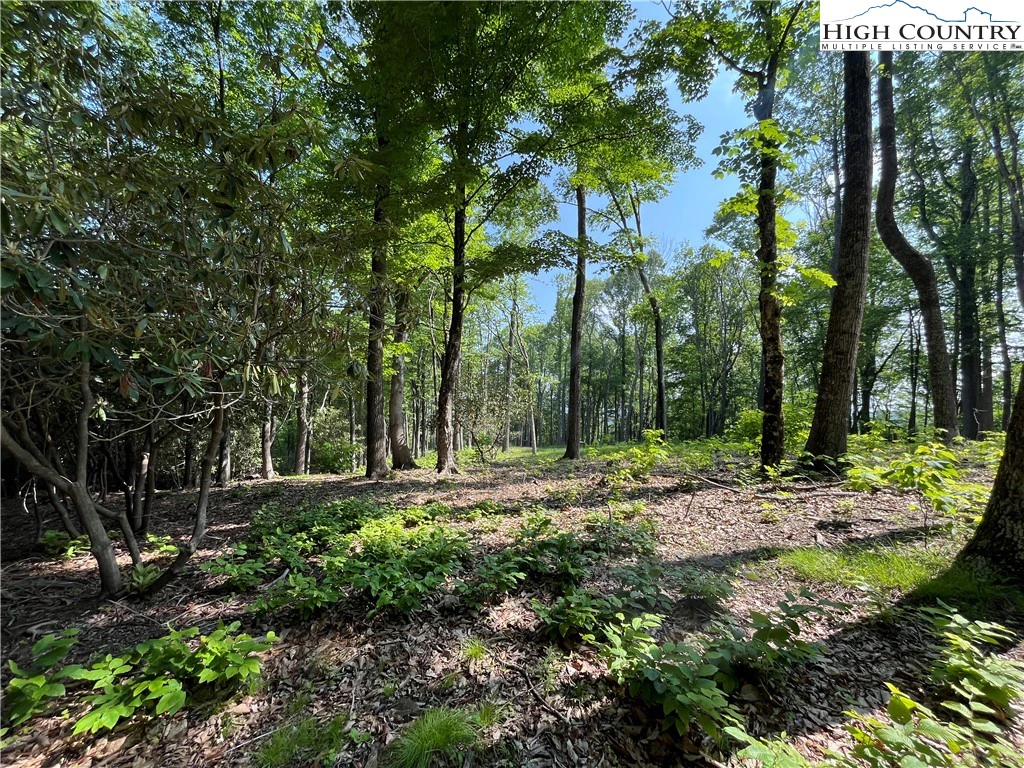 Image number 14 for the current listing