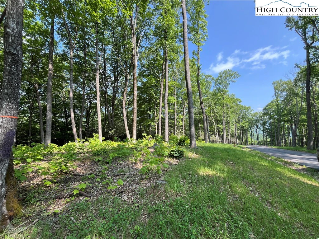 Image number 12 for the current listing