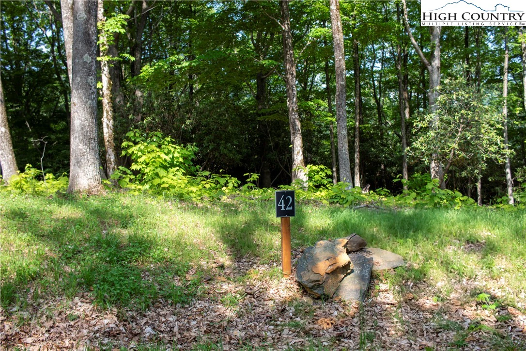 Image number 1 for the current listing