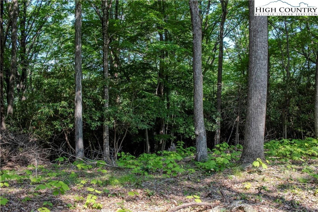 Image number 13 for the current listing
