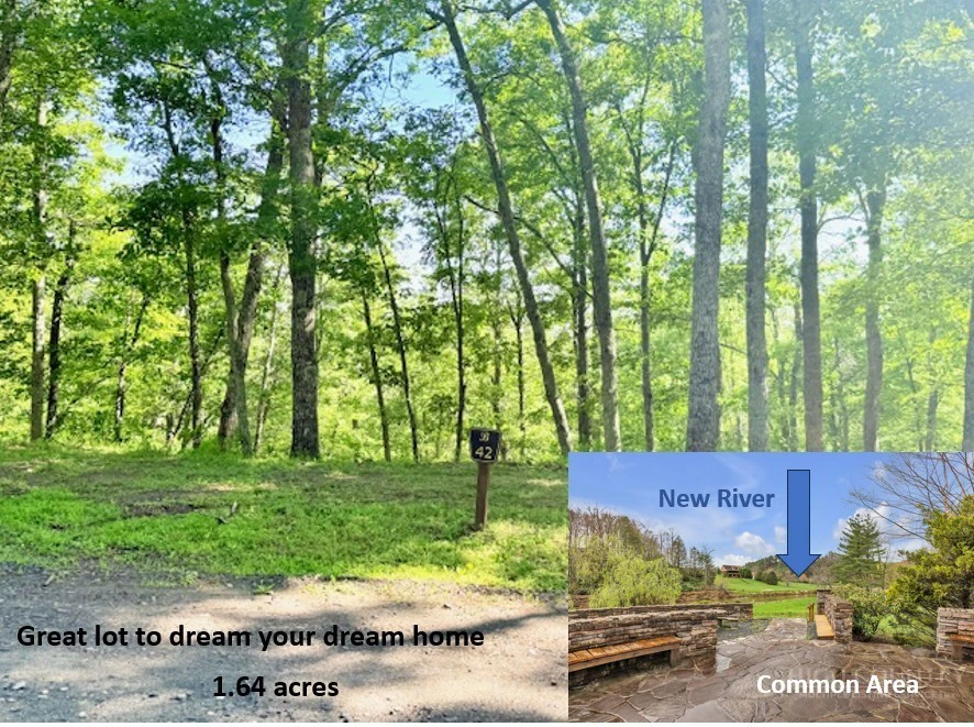 Image number 1 for the current listing