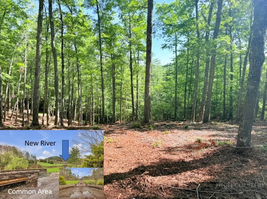Image number 2 for the current listing