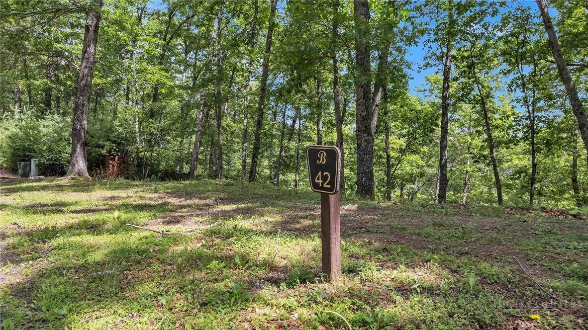 Image number 3 for the current listing