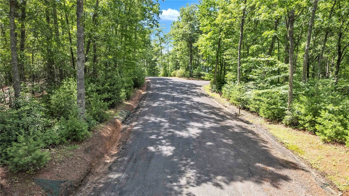 Image number 4 for the current listing