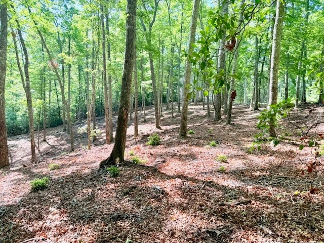 Image number 7 for the current listing