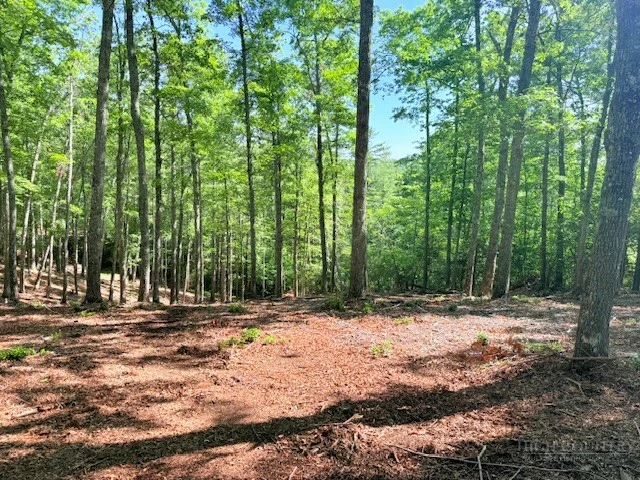 Image number 9 for the current listing