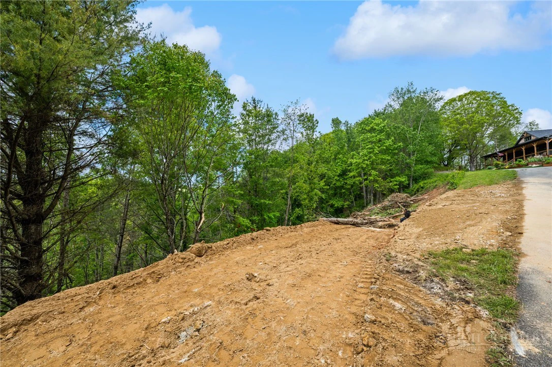 Image number 1 for the current listing