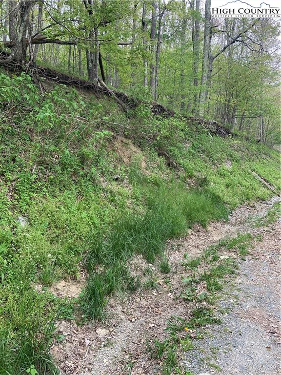 Image number 1 for the current listing