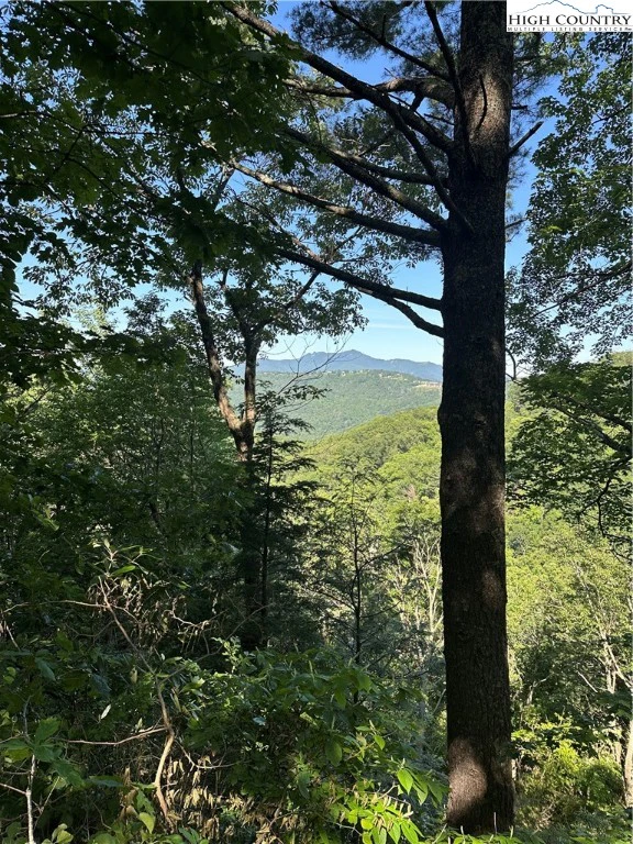 Image number 1 for the current listing