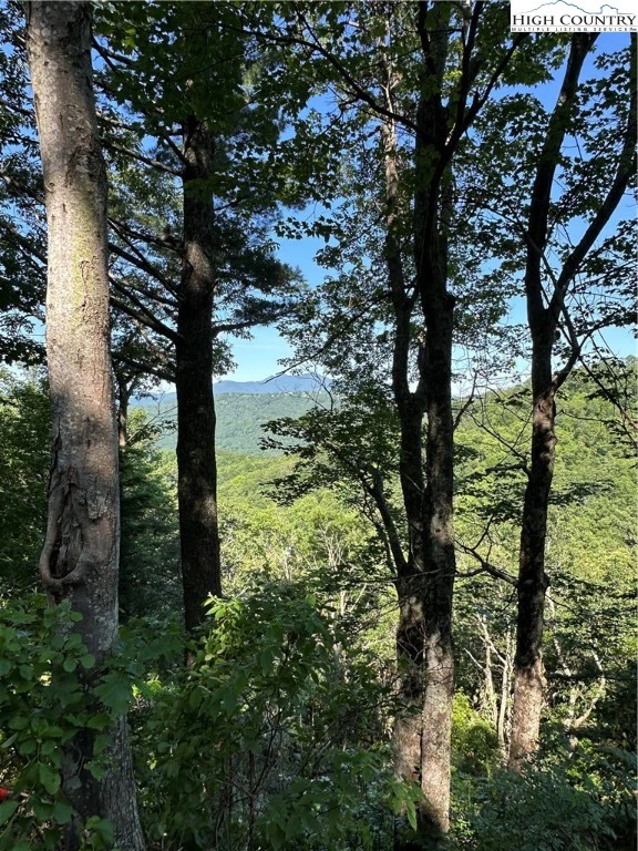 Image number 4 for the current listing