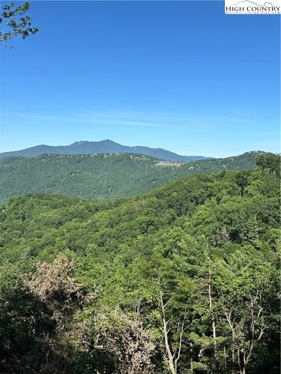 Image number 6 for the current listing
