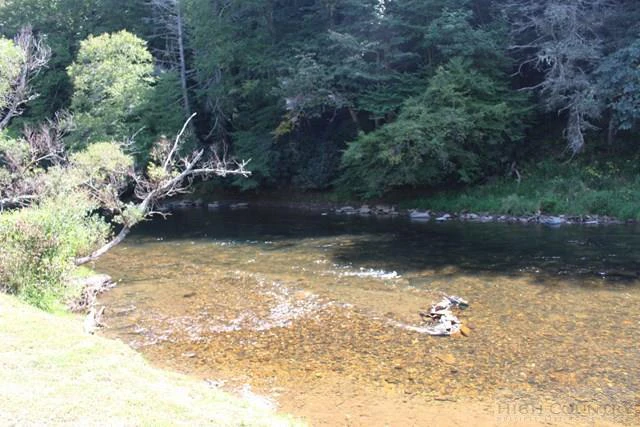 Image number 1 for the current listing