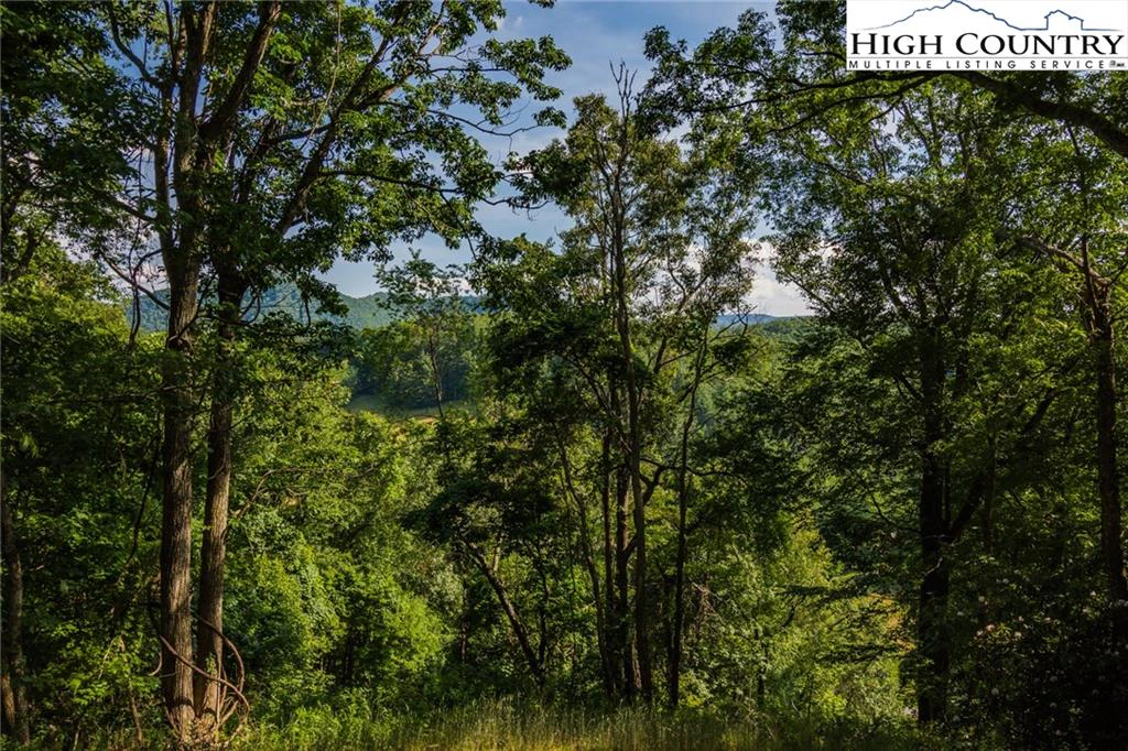 Image number 11 for the current listing