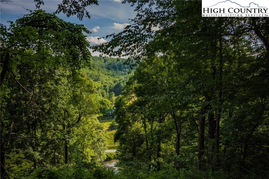 Image number 14 for the current listing
