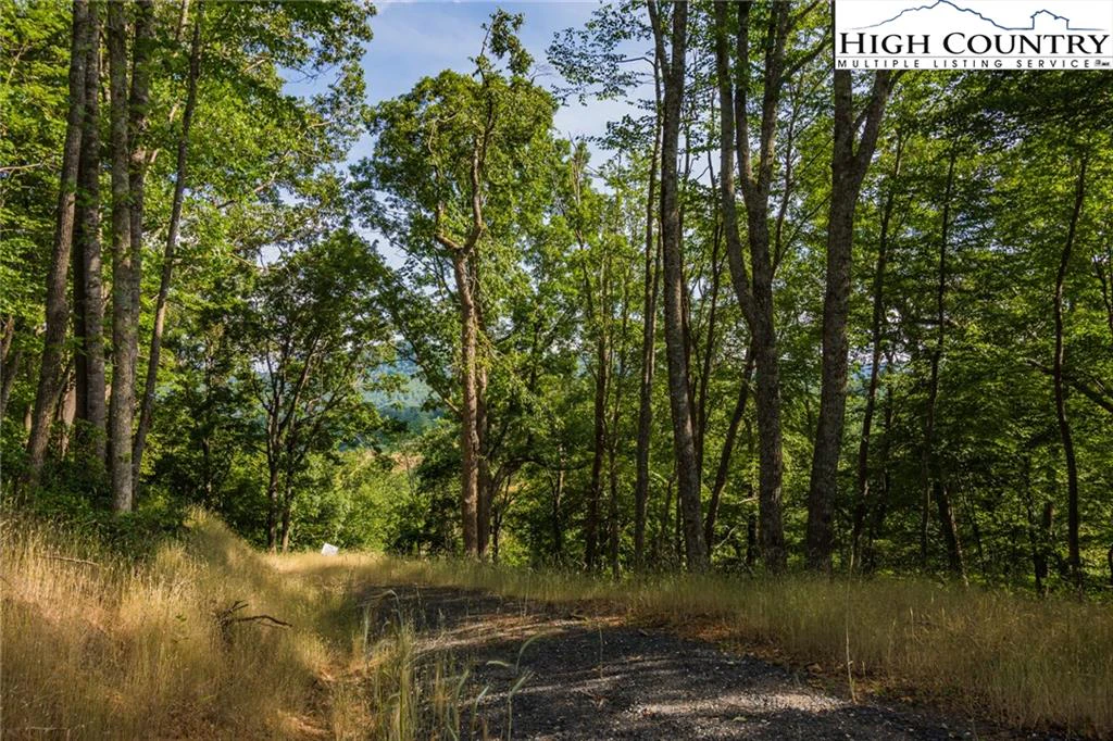 Image number 9 for the current listing