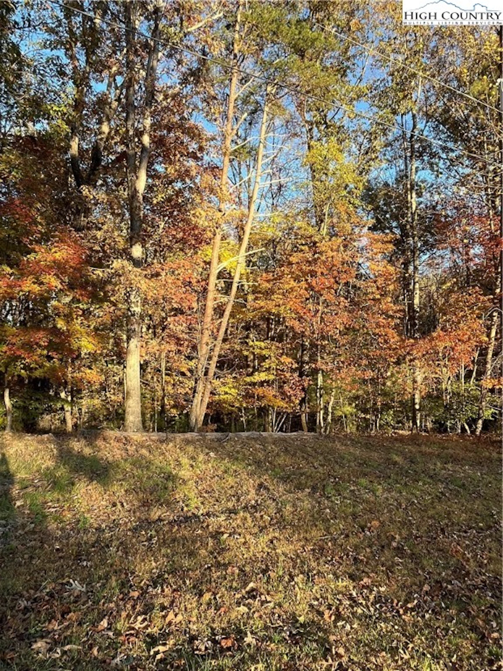 Image number 1 for the current listing