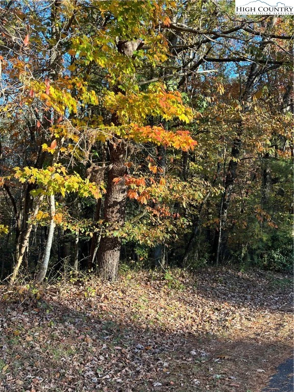 Image number 4 for the current listing