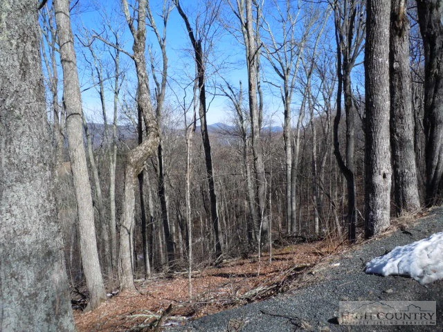 Image number 1 for the current listing