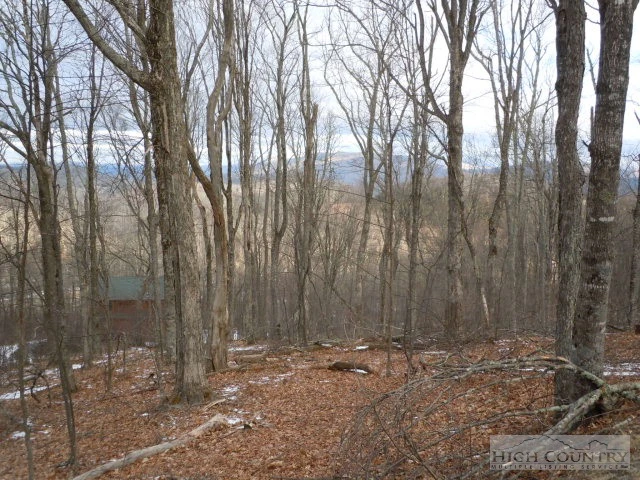 Image number 3 for the current listing