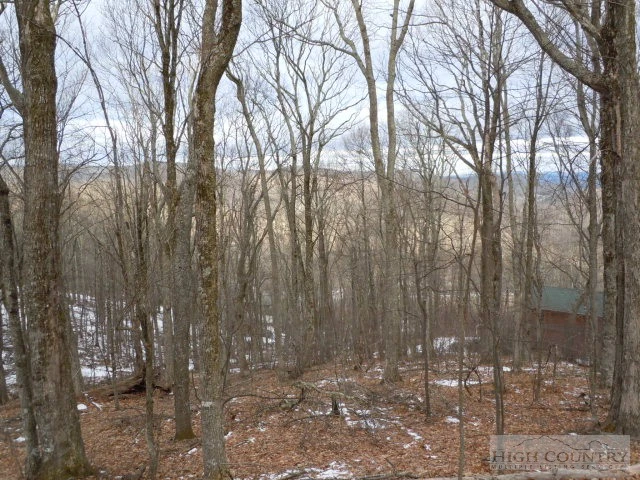 Image number 4 for the current listing