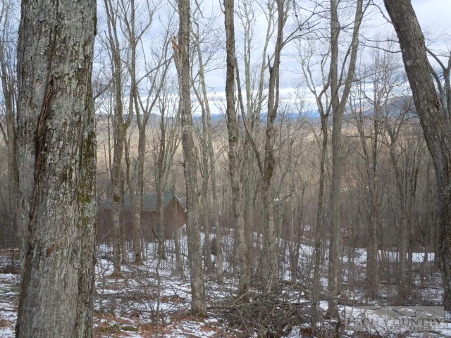 Image number 5 for the current listing