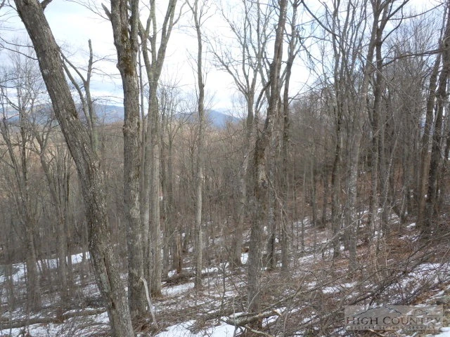 Image number 6 for the current listing