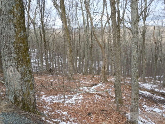 Image number 8 for the current listing