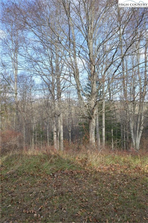 Image number 3 for the current listing