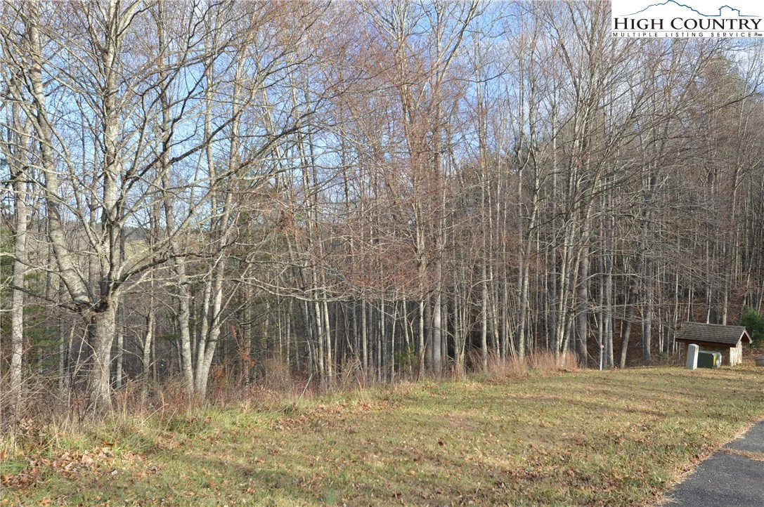 Image number 1 for the current listing