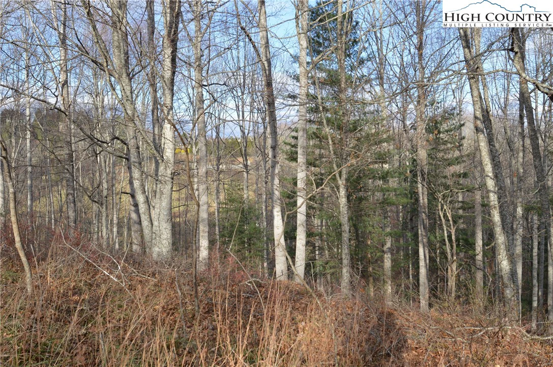 Image number 15 for the current listing