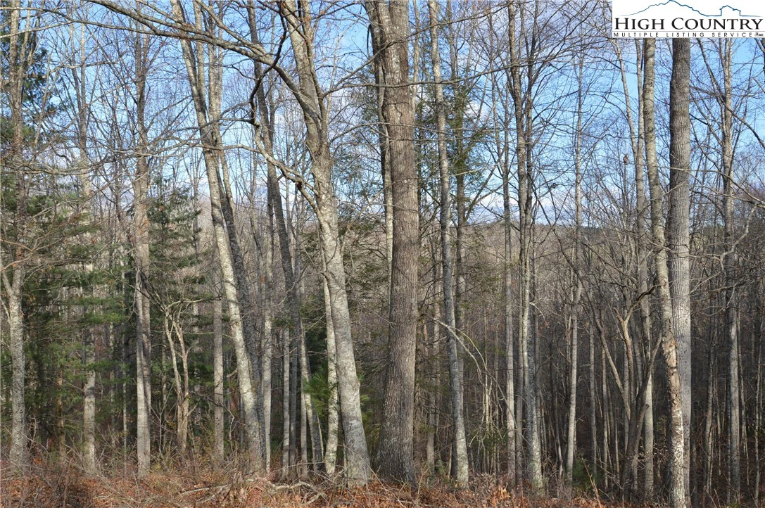 Image number 14 for the current listing