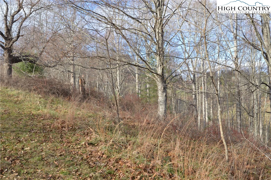 Image number 13 for the current listing