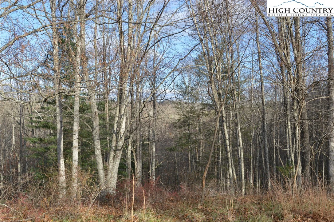 Image number 11 for the current listing