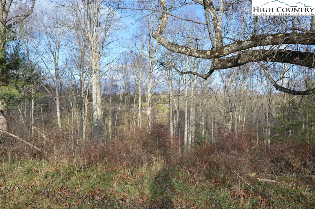 Image number 8 for the current listing