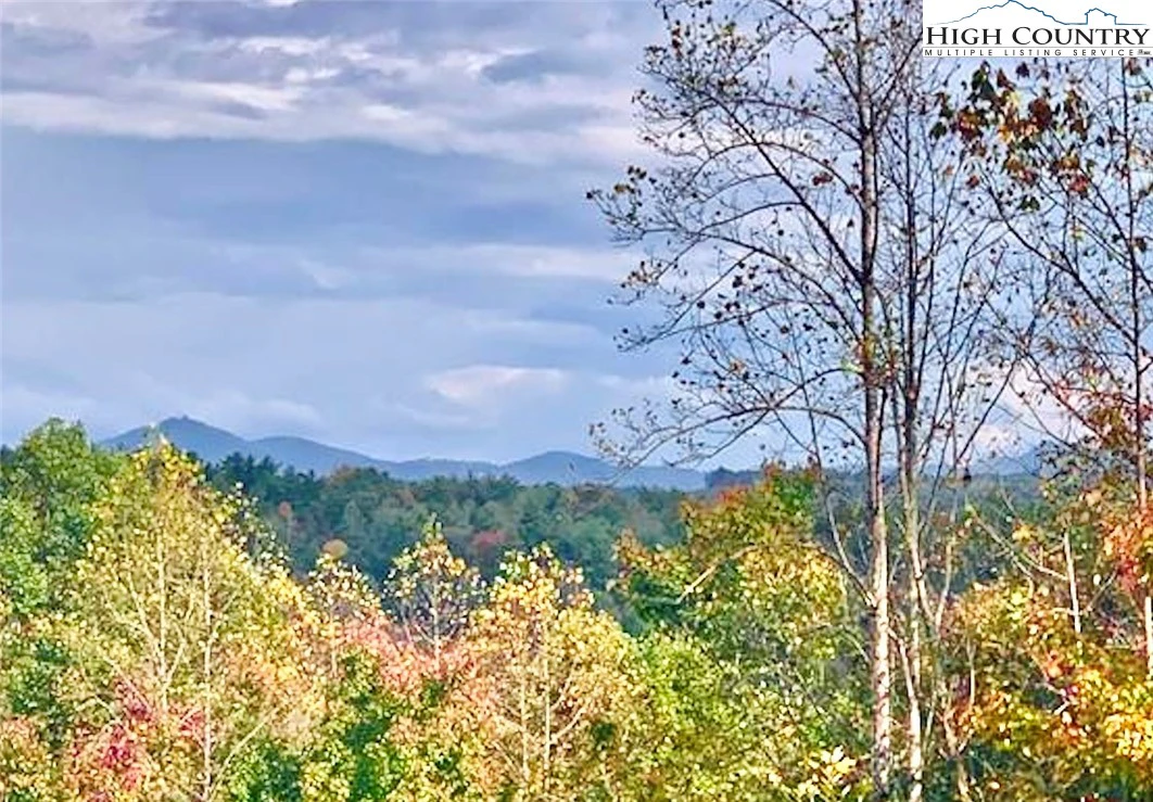 Image number 1 for the current listing