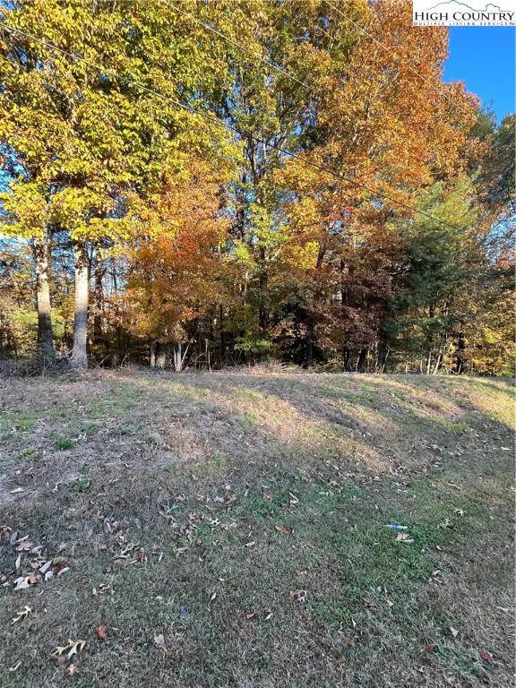 Image number 1 for the current listing