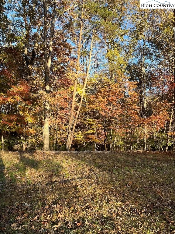 Image number 3 for the current listing