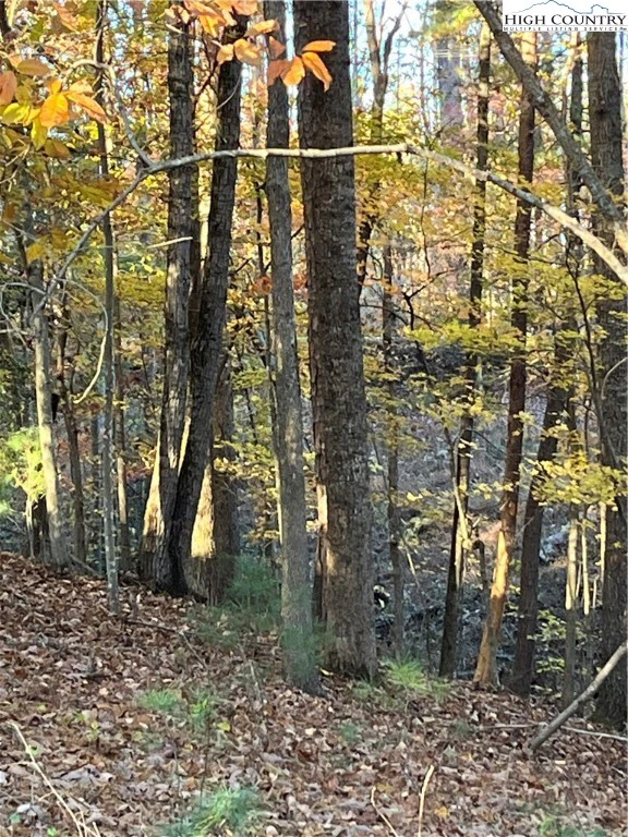 Image number 4 for the current listing