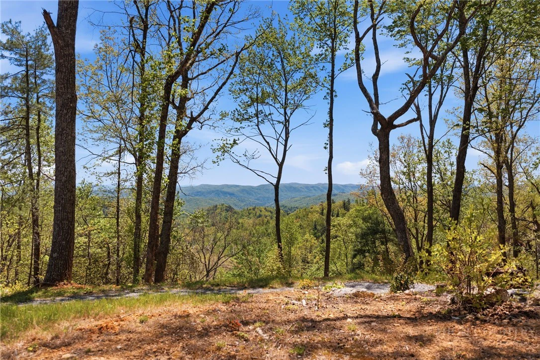 Image number 1 for the current listing