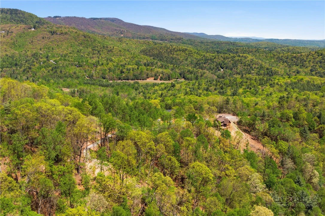 Image number 9 for the current listing