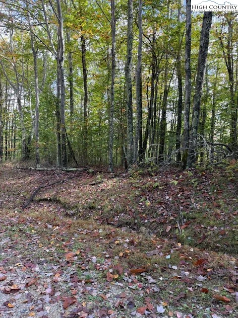 Image number 1 for the current listing