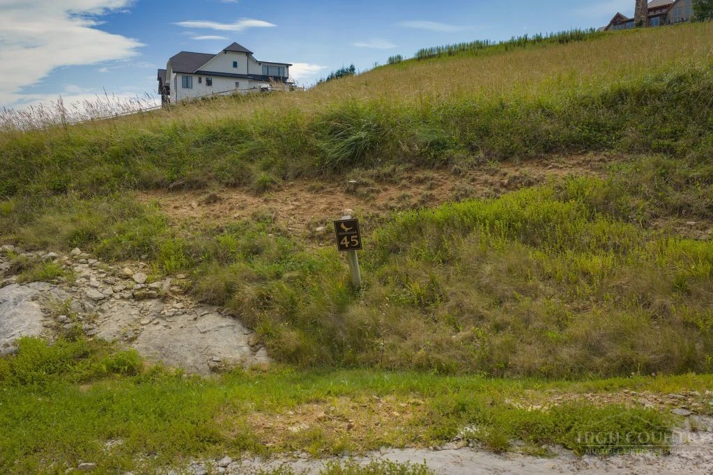 Image number 2 for the current listing